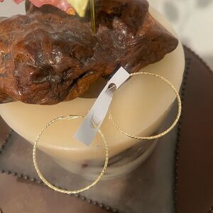 Elegant Hoop Earrings